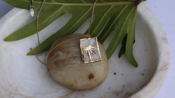 Palmera - Imagen 2