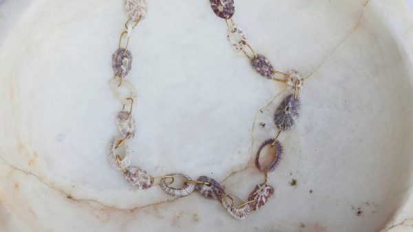 Cadena medusa